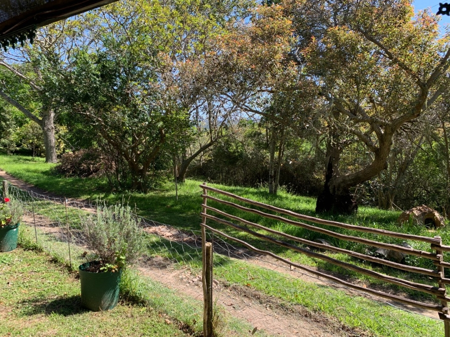 To Let 1 Bedroom Property for Rent in The Crags Western Cape